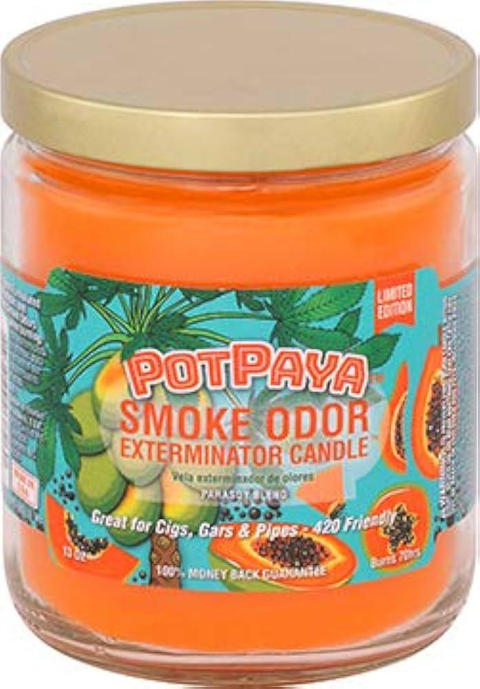 Smoke Odor Candle (13 oz)