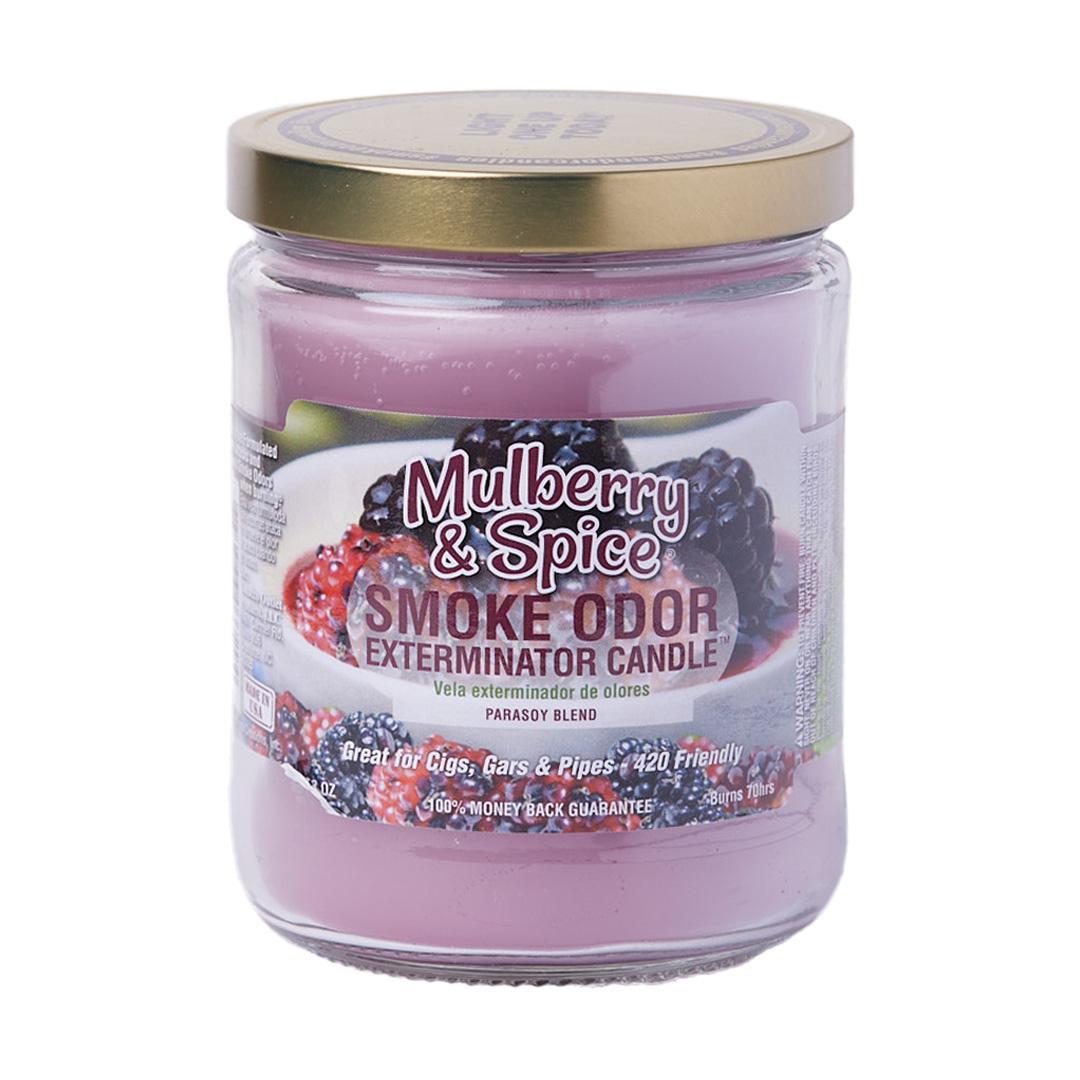 Smoke Odor Candle (13 oz)