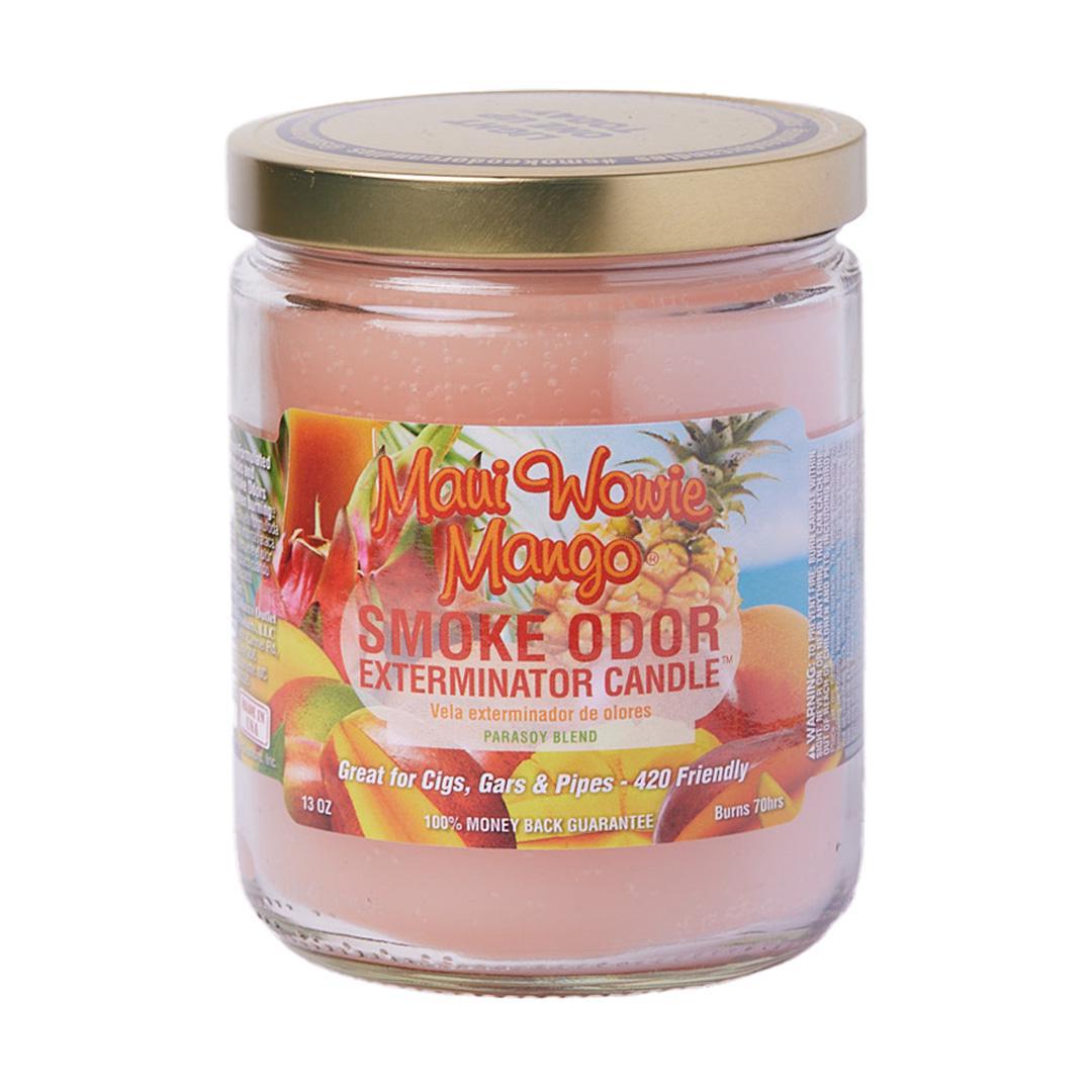 Smoke Odor Candle (13 oz)