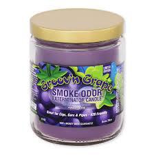 Smoke Odor Candle (13 oz)
