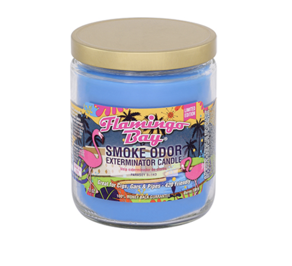 Smoke Odor Candle (13 oz)